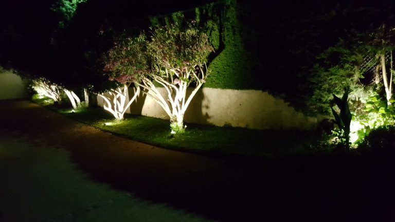 Illuminated garden path — ALK Lighting garden lighting